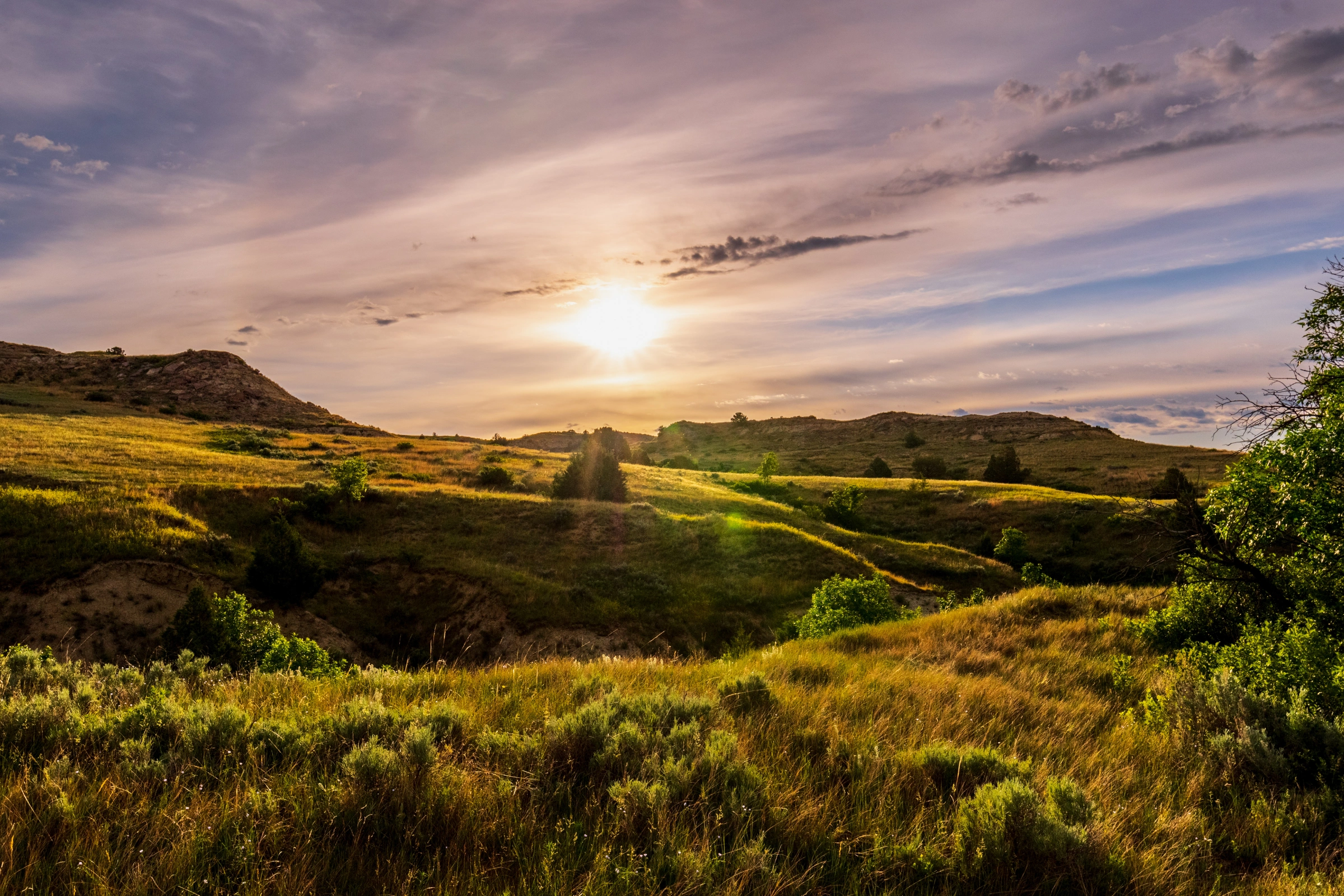 Theodore_Roosevelt_National_Park,_North_Dakota[1].webp